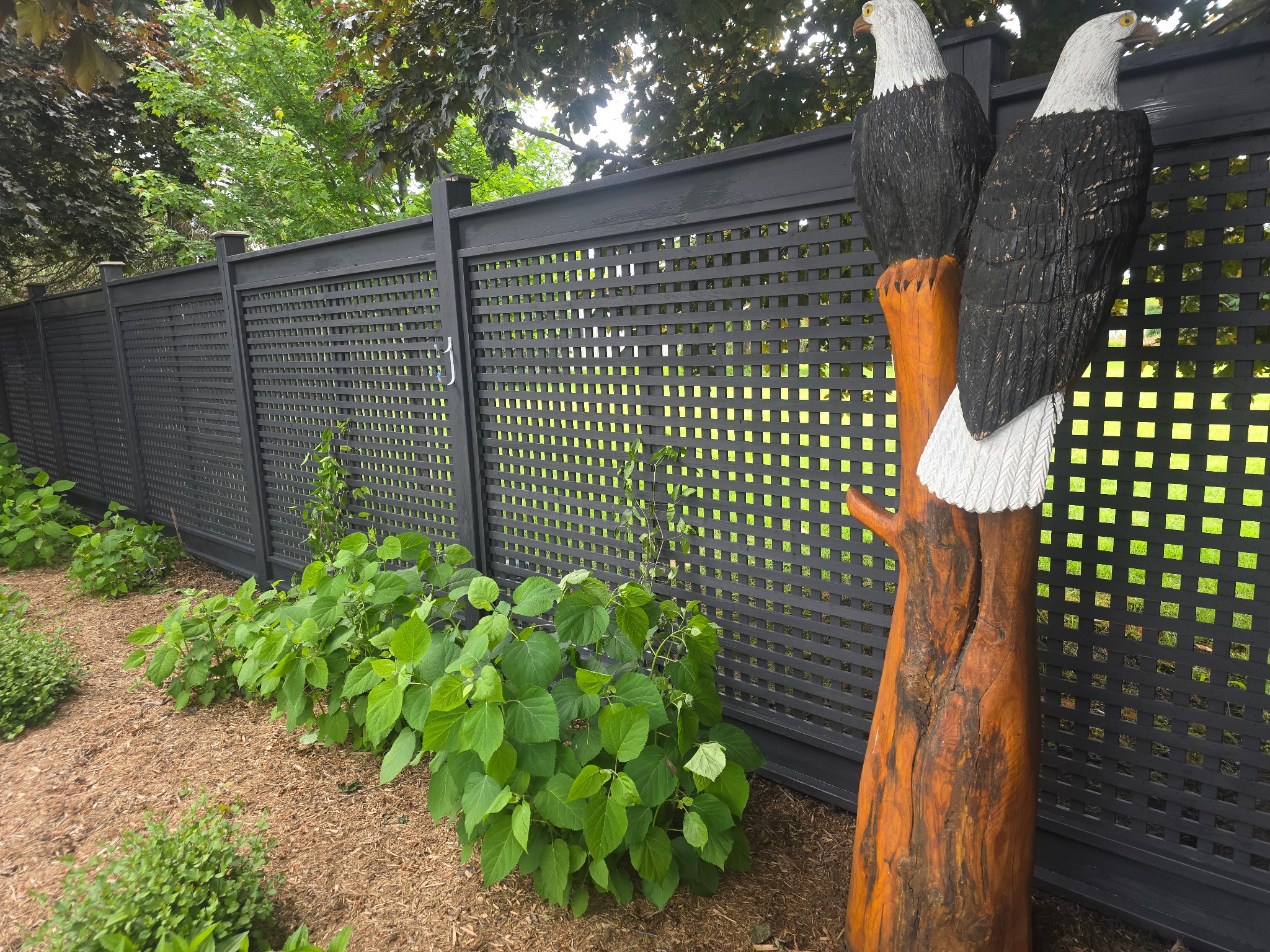 Fence staining Vaughan - natural cedar fence staining residential backyard